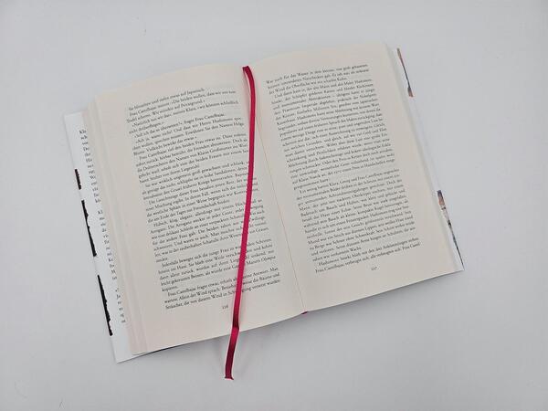 Innenansicht des Buches „Sprung ins Leere“