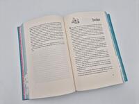 Außenansicht des Buches „The Goal – Jetzt oder nie“