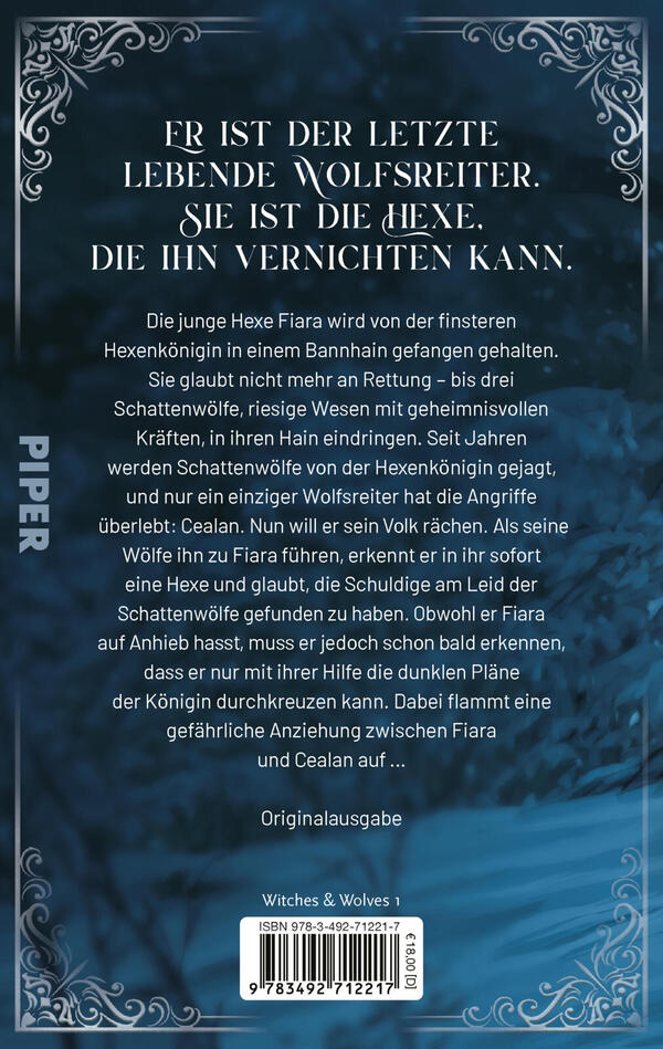 Rückansicht des Buches „Cursed by Shadows“