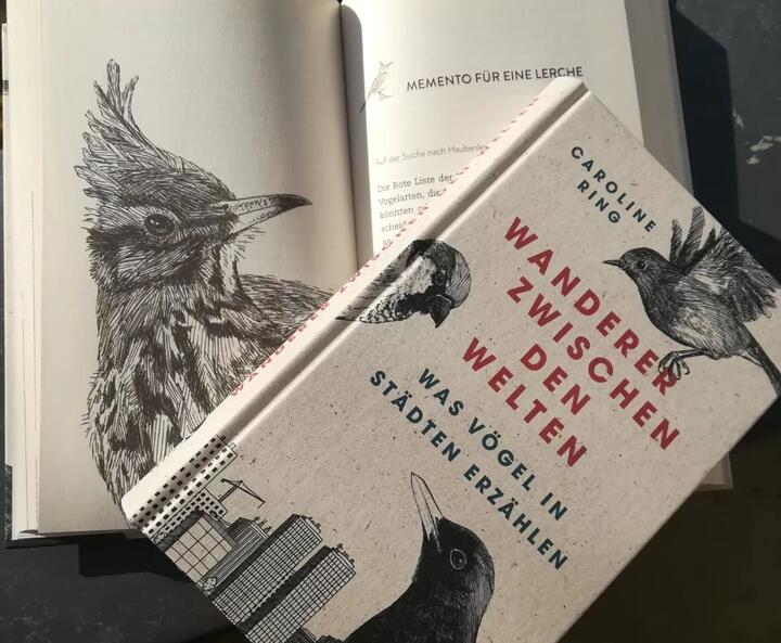 Vögel in Deutschland