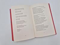 Außenansicht des Buches „Rodeo“