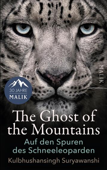 Das Buchcover zeigt ein extremes Nahporträt eines Schneeleoparden mit eisblauen Augen, hellem, geflecktem Fell und markanter Nasenpartie. Der weiße Serif-Titel „The Ghost of the Mountains“ dominiert das untere Drittel; darunter in türkisem Grün die Unterzeile „Auf den Spuren des Schneeleoparden“. In kleiner, goldbrauner Schrift steht der Autorenname Kulbhushansingh Suryawanshi. Die reduzierte, kontrastreiche Gestaltung wirkt eindringlich und naturverbunden.