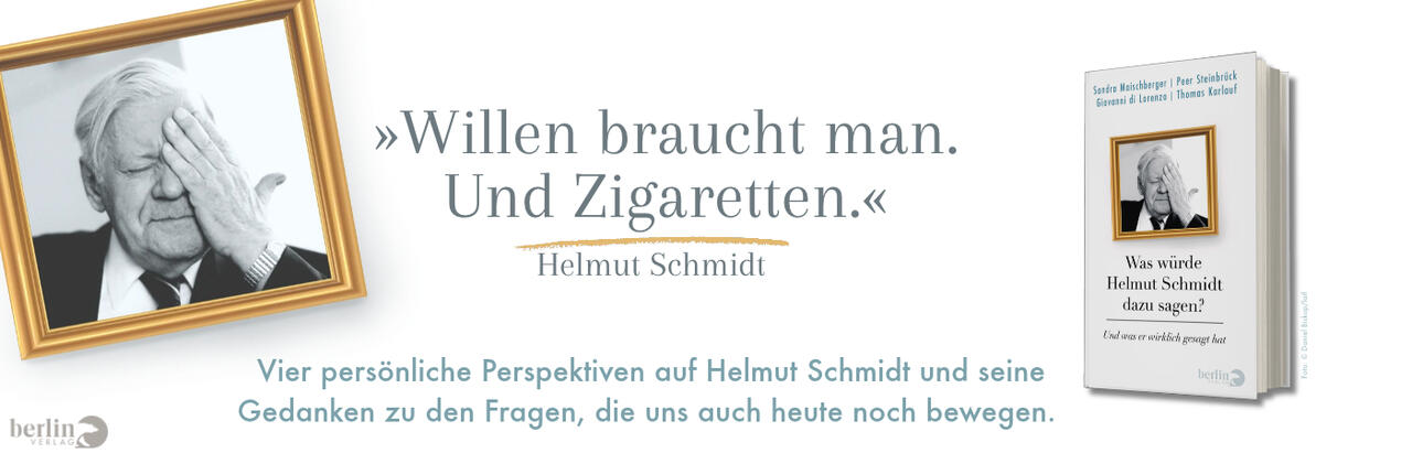 Helmut Schmidt Buch