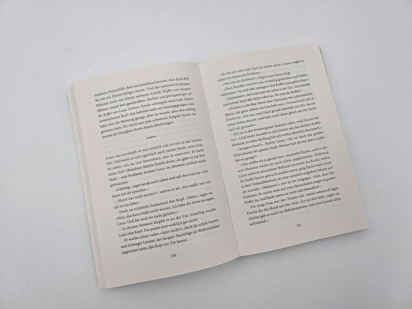 Außenansicht des Buches „Der Traum des Louis Vuitton“