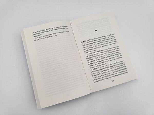 Innenansicht des Buches „Seenebel“