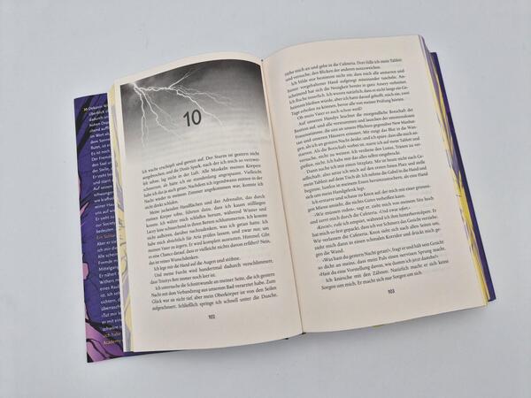 Außenansicht des Buches „Storm Breaker (Deluxe-Ausgabe)“