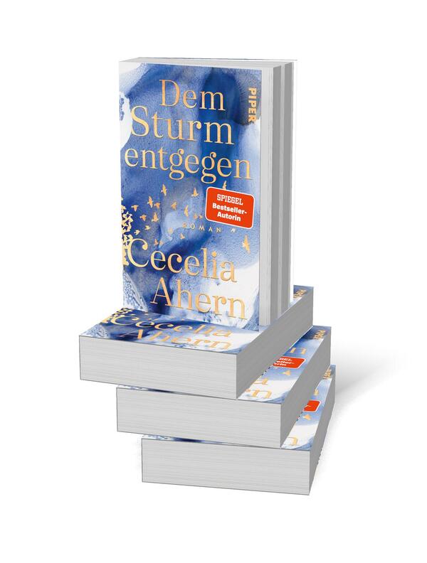 Bücherstapel des Buches „Dem Sturm entgegen“