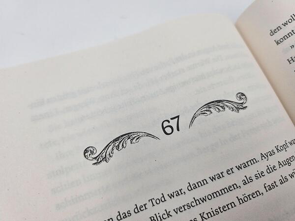 Außenansicht des Buches „The Curse of Saints“