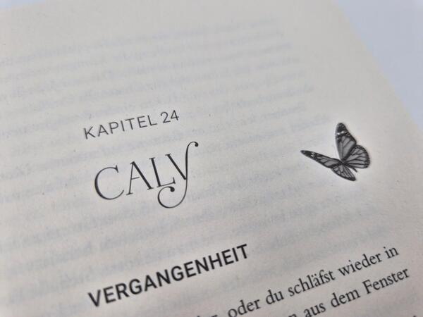 Außenansicht des Buches „What did you do?“