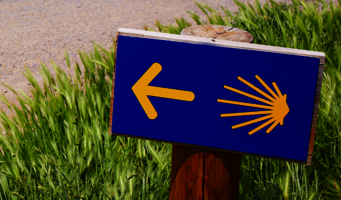Ein blaues Schild mit einem gelben Pfeil nach link sowie dem Muschelsymbol des Jakobswegs. Es ist von grünen Gräsern umgeben, im Hintergrund ist ein Weg erkennbar.
