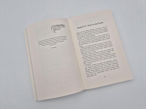 Außenansicht des Buches „Phönixkrone“