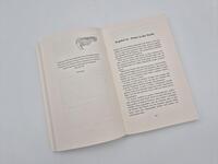 Außenansicht des Buches „Phönixkrone“