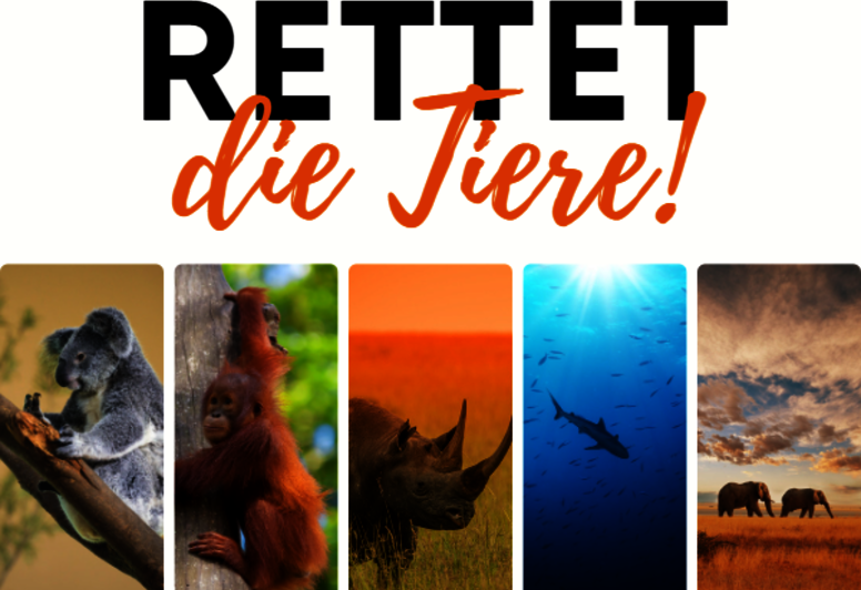 „Rettet die Tiere“-Schriftzug mit Abbildungen von Koala, Orang-Utan, Nashorn, Hai und Elefanten