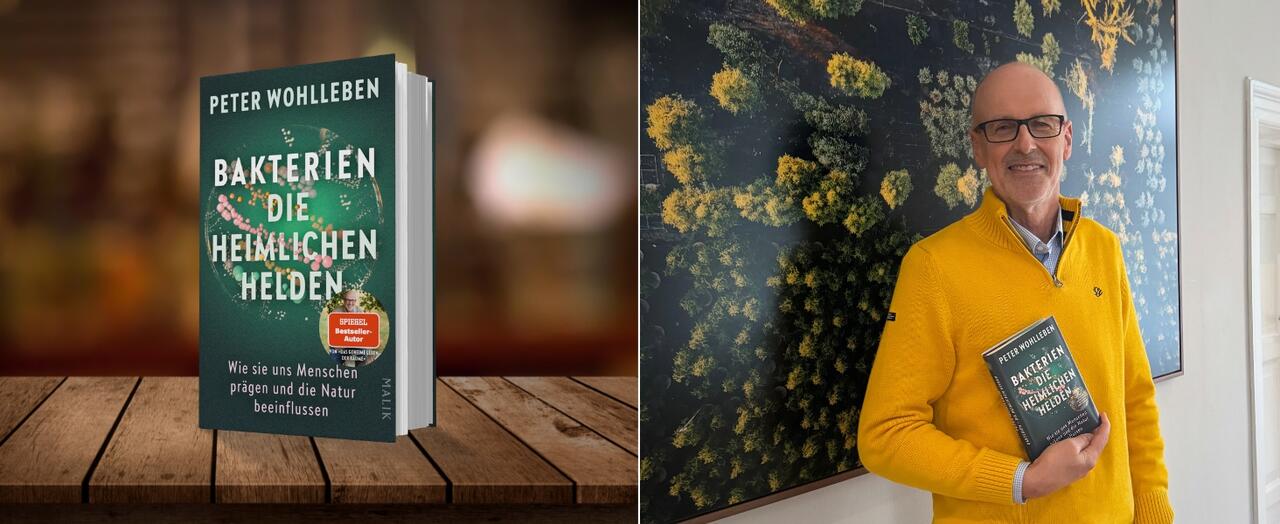 Links ist das Buch „Bakterien“ auf einer Holzoberfläche stehend zu sehen. Rechts sieht man Peter Wohlleben stehend vor einer Wand mit einer großflächigen Waldfotografie und dem Buch "Bakterien" in der Hand.