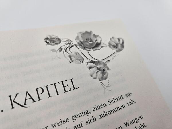 Außenansicht des Buches „Eine Krone aus Herz und Asche “