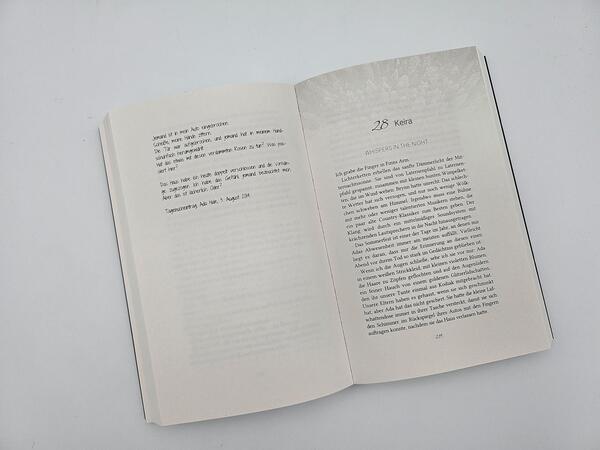 Außenansicht des Buches „Kodiak Echoes – Hide me“