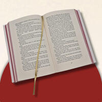 Außenansicht des Buches „Theo of Golden (English Edition)“