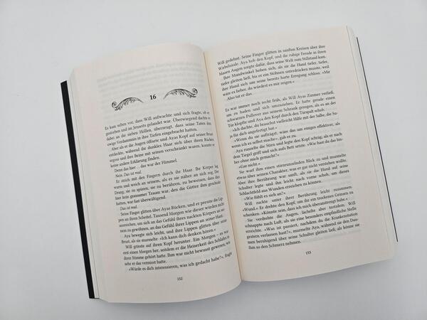 Außenansicht des Buches „The Curse of Sins“