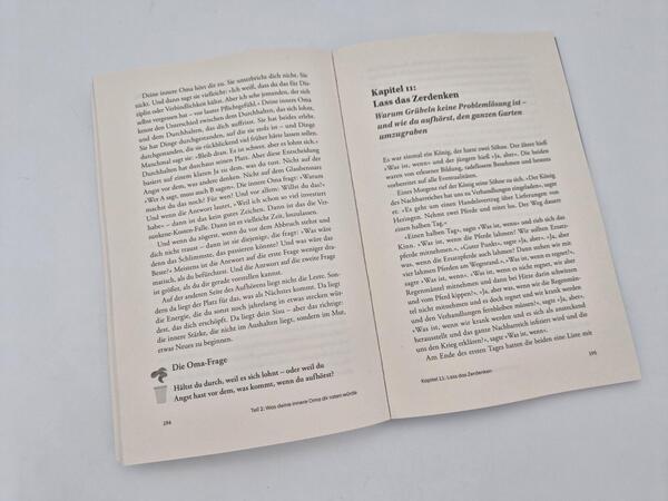 Außenansicht des Buches „Die innere Oma“