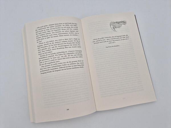 Außenansicht des Buches „Sturmthron“