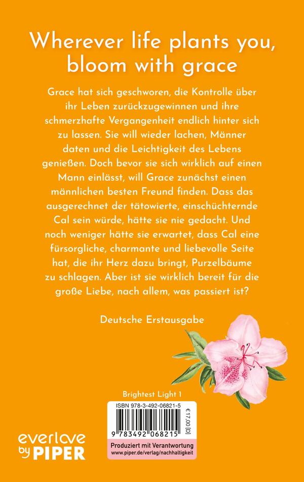 Rückansicht des Buches „The Brightest Light of Sunshine“