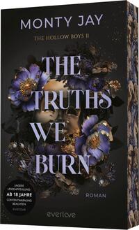 Außenansicht des Buches „The Truths we burn“