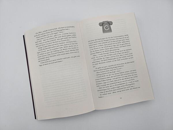 Außenansicht des Buches „Whispers of Destiny“