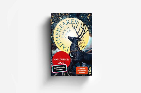 Außenansicht des Buches „Faithbreaker“
