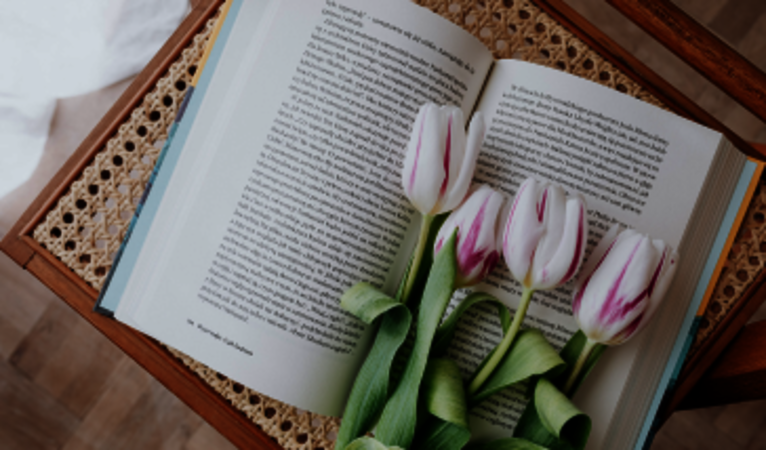 Unsere persönlichen Buchtipps für Sie