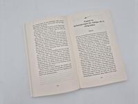 Außenansicht des Buches „Thief of Hearts - Liebe ist Verrat“