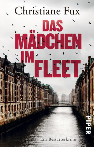 Das Mädchen im Fleet (Theo-Matthies-Reihe 4)