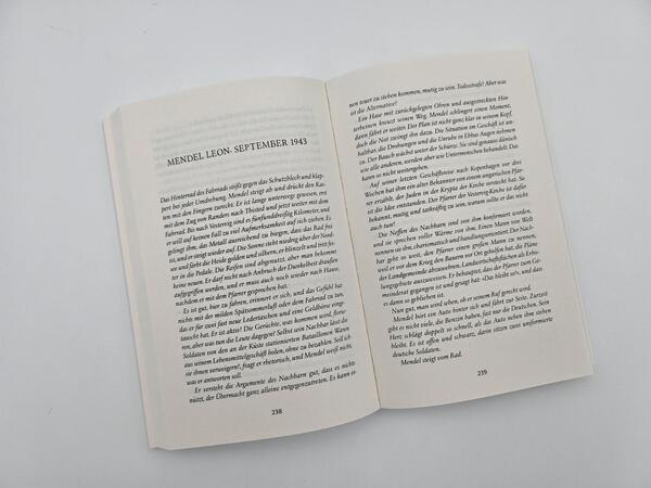 Außenansicht des Buches „Glutspur“