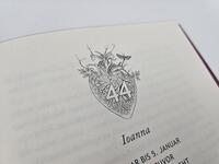 Außenansicht des Buches „Twelve of Nights – Das gestohlene Herz“