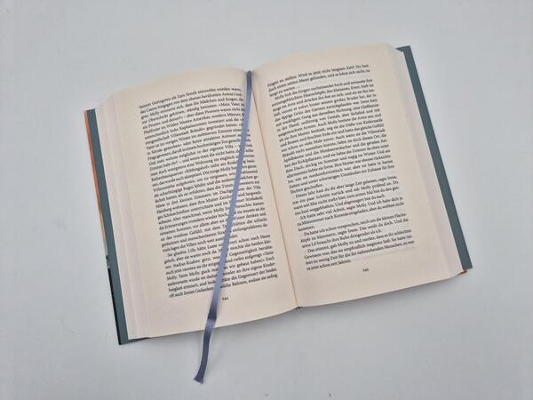 Außenansicht des Buches „Dämmerung“