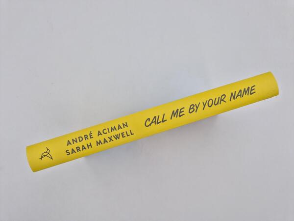 Außenansicht des Buches „Call me by your Name“