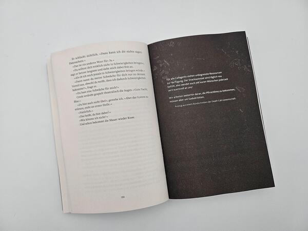 Außenansicht des Buches „Whispers of Destiny“