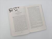Außenansicht des Buches „Die Sturmtochter“