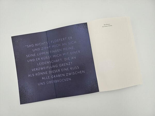 Außenansicht des Buches „The Darkness We Hide“