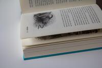 Innenansicht des Buches „Wo die Toten tanzen“