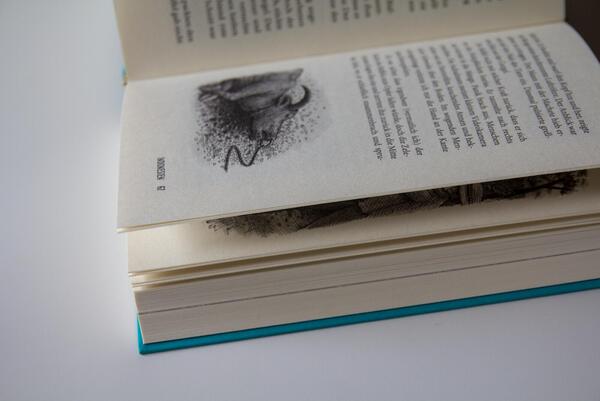 Innenansicht des Buches „Wo die Toten tanzen“