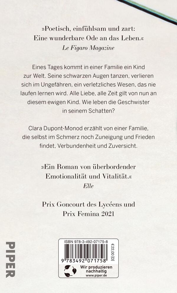 Rückansicht des Buches „Brüderchen“