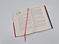 Außenansicht des Buches „Dragon Cursed – Zeig keine Gnade“