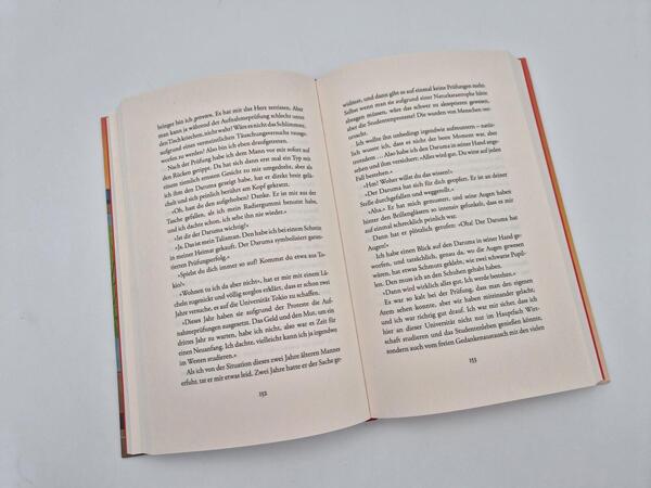 Außenansicht des Buches „Sommerleuchten über der Freitagsbuchhandlung “