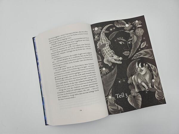 Außenansicht des Buches „Raybearer – Der Pakt der Abiku“