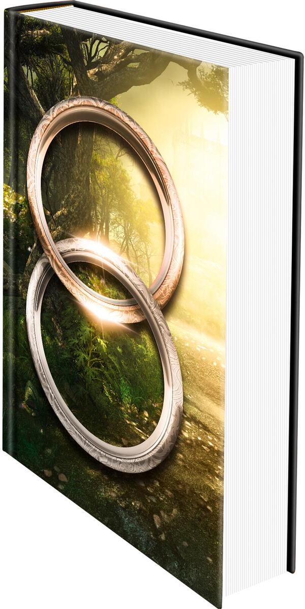 Außenansicht des Buches „Rings of Fate“