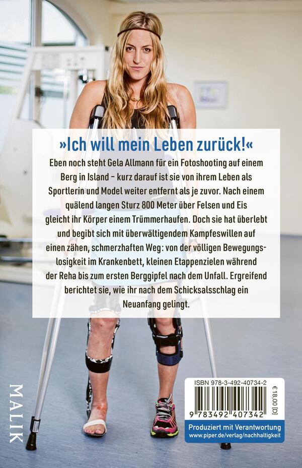 Rückansicht des Buches „Sturz in die Tiefe“