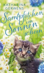 Samtpfötchen im Sonnenschein Samtpfötchen im Sonnenschein