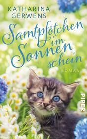 Samtpfötchen im Sonnenschein