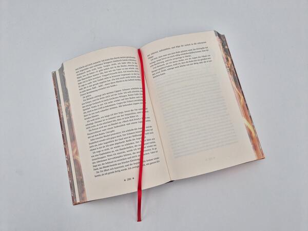 Außenansicht des Buches „Dragon Cursed – Zeig keine Gnade (Deluxe-Ausgabe)“