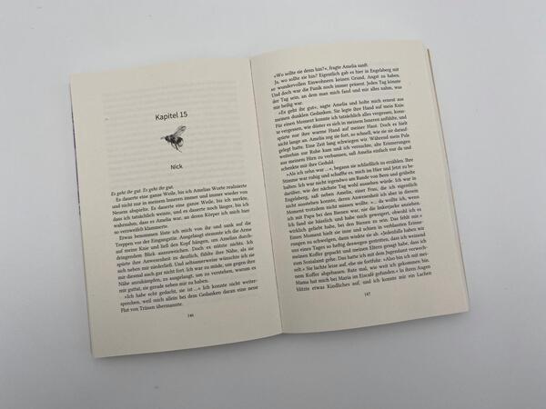 Innenansicht des Buches „Dreams so golden“